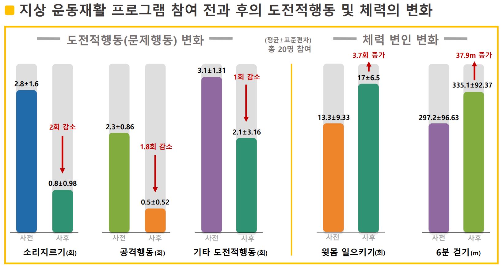 Changes in challenging behavior (problem behavior) and physical fitness variables through the program