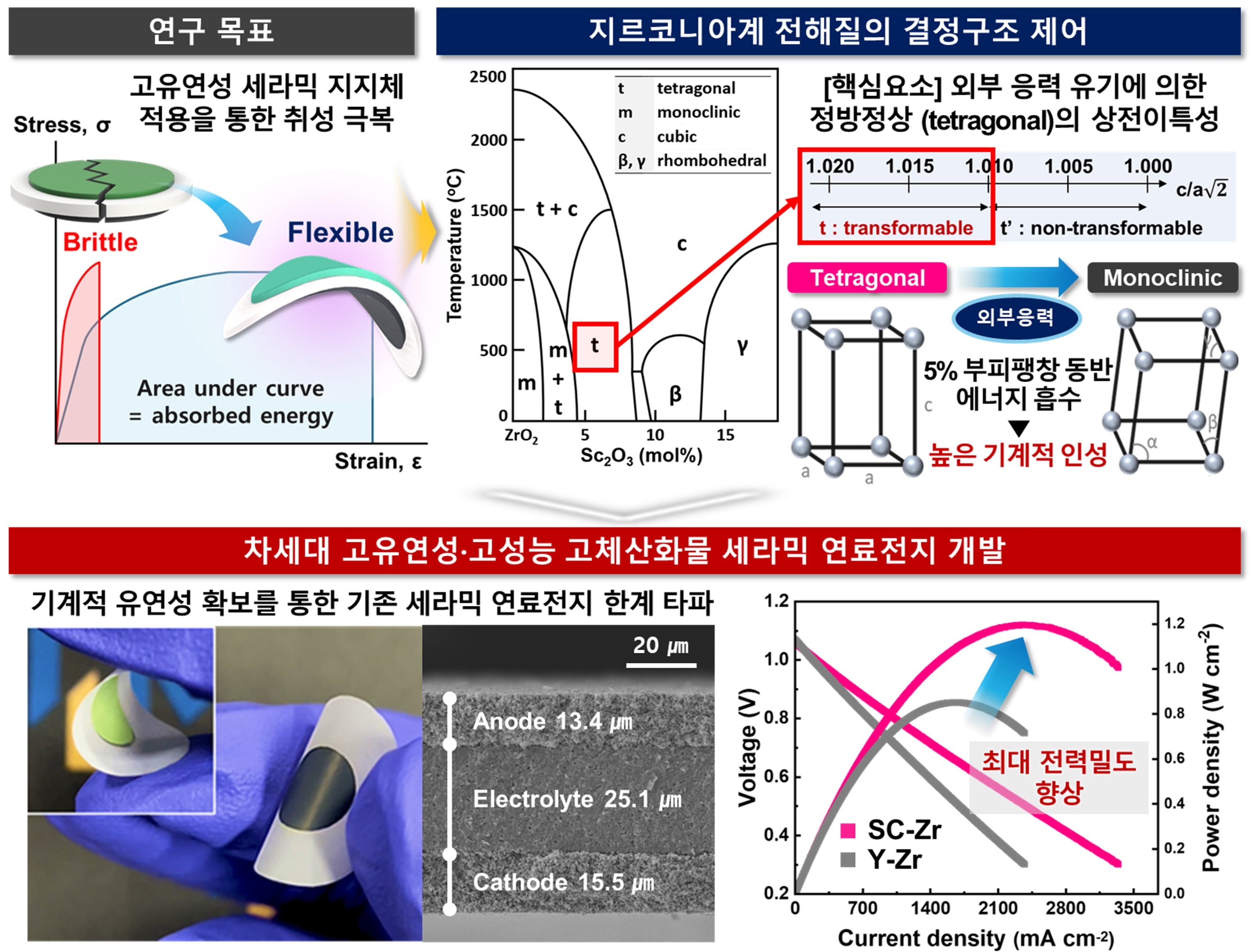 명재하 교수 연구팀 연구 모식도 및 연구결과