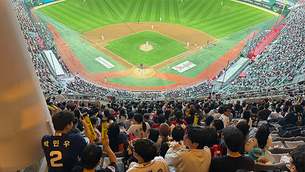 법학부 야구 단체관람