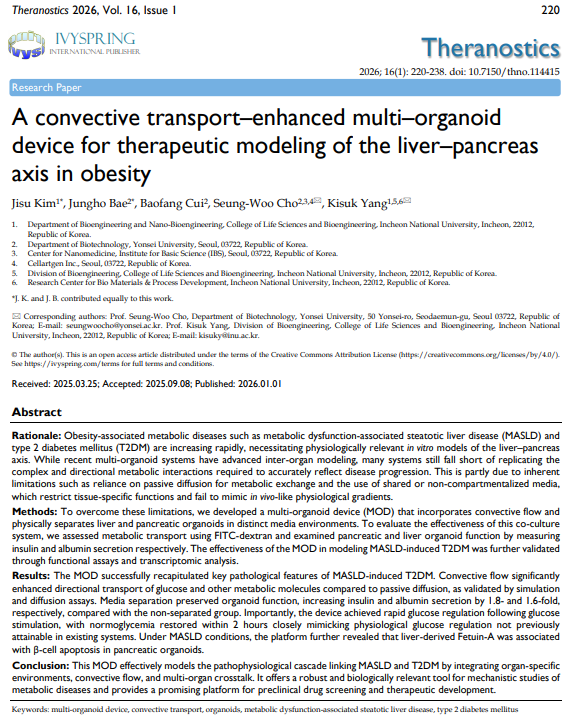 논문 관련 자료