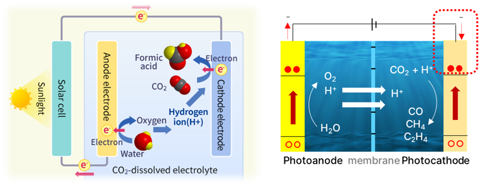 연구 관련 이미지