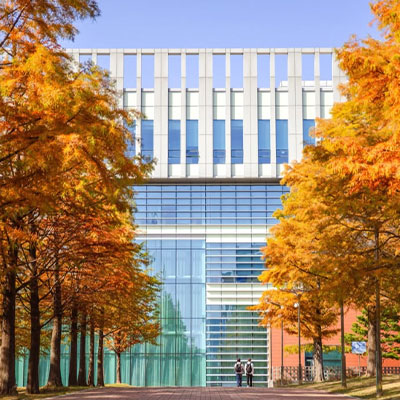 인천대 가을 사진