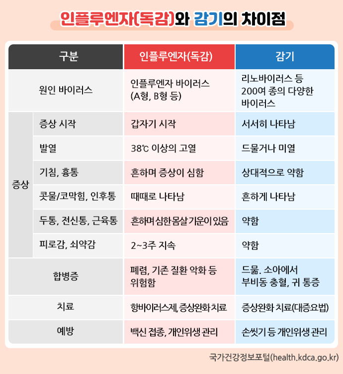 독감과 감기의 차이점 설명 표