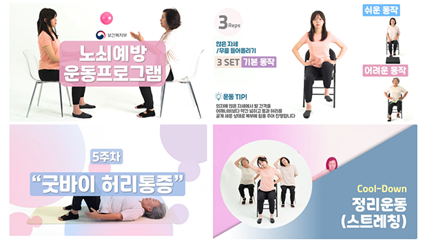 노쇠 예방 프로그램