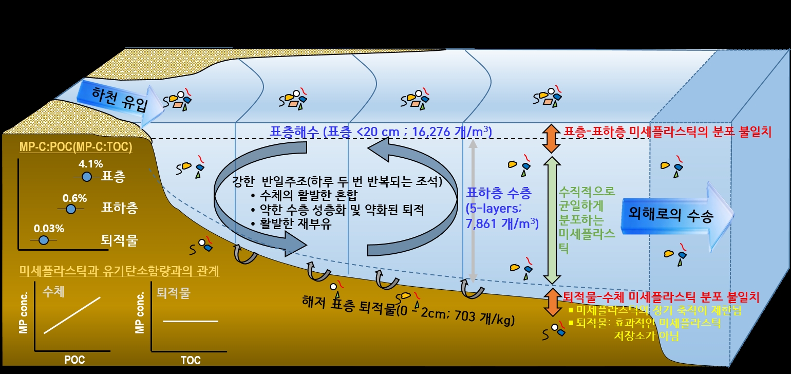 대조차 하구-연안 시스템의 미세플라스틱 분포·이동 양상 모식도