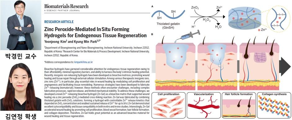 생명•나노바이오공학과 대학원생 김연정 의생명공학 분야 국제학술지 제 1저자 논문 발표 대표이미지