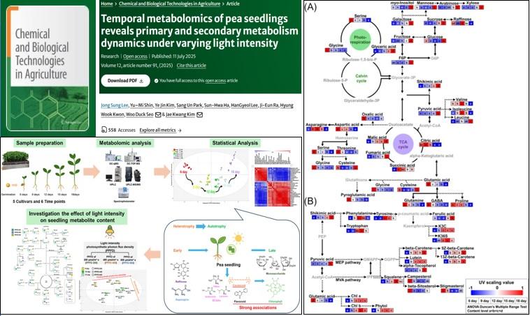 생명과학과 식물대사실험실 대학원생 이종성, 신유미 SCI 논문 게재 - JCR 상위 13% 논문 성과 - 대표이미지