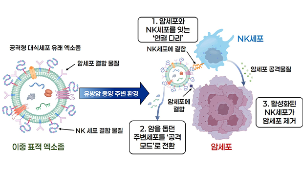 국공립대학도서관협의회 정기총회