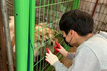 느을사랑 활동사진 1