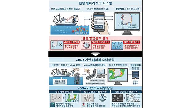 Incheon National University Marine Science Research Team Develops Technology to Improve Accuracy of Jellyfish Analysis in Environmental DNA (eDNA) main image