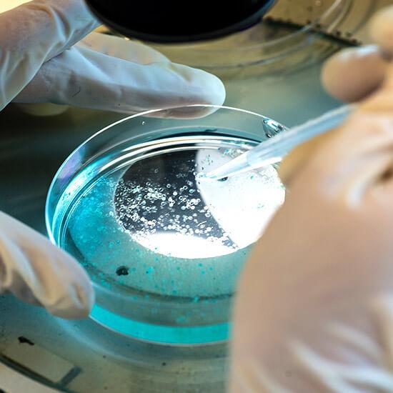 생명과학전공은 생명 현상의 다양한 수준, 즉 분자, 세포, 조직, 기관, 개체, 개체군 등으로 발전하는 체계적 현상의 작동 메커니즘과 기능 에 대한 이론과 원리를 터득하고 능동적인 응용과 창의적인 연구능력 을 지닌 선도적 연구 및 기술 인력을 양성한다.