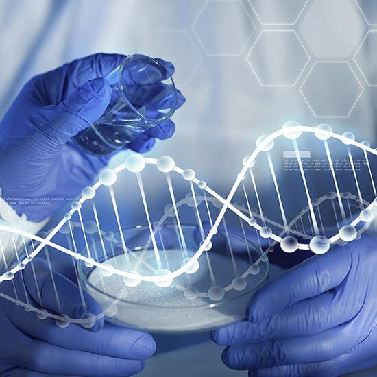 생명공학은 생명과학 기초지식을 토대로 새로운 바이오 소재와 기술을 개발하는 응용 학문으로, 바이오의약, 제약, 화학, 식품, 화장품, 환경, 에너지 등 21세기 첨단 바이오산업과 4차 산업혁명을 선도할 핵심 분야입니다.  생명공학전공에서는 세포, 생체 조직, 생물 개체, 유전자, 단백질, 대사산물 등 다양한 바이오 소재와 생명 현상에 대한 체계적인 교육 과정과 시스템을 학생들에게 제공합니다.  이를 통해 궁극적으로는 국가 과학 기술 성장 동력과 경쟁력 증진을 선도할 역량 있는 실무 인재와 공학자를 양성하고자 합니다.