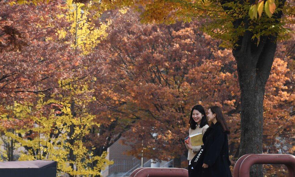 2019학년도 2학기 서울권역 E-러닝 학점교류 교과목 수강철회안내 대표이미지